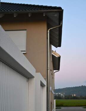 2025 10 Katzdorf (2) - 