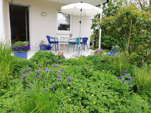 IMG_20250508_120353.jpg - 