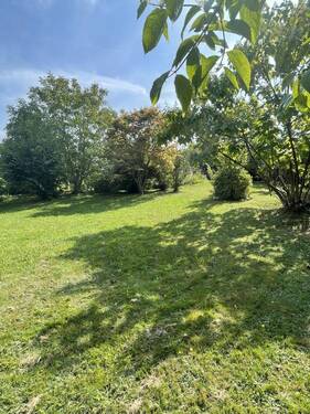 Großer Garten - 