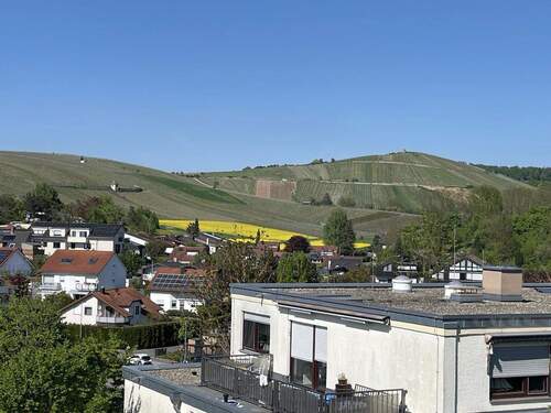 Ausblick Richtung Norden - 