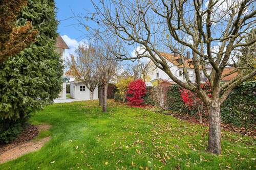 Großer Garten mit Apfelbäumen - 