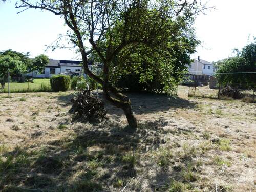 P1080088.JPG - Grundstück in Jürgenshagen zum Kaufen