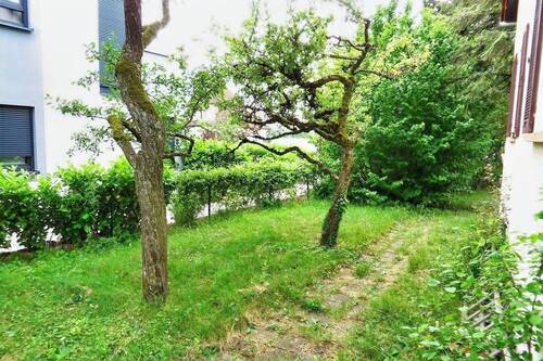 Ansicht von Norden - 