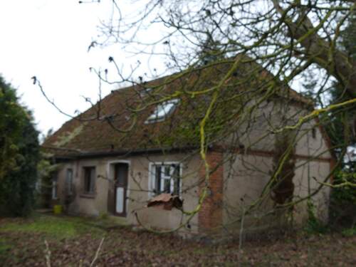 P1080284.JPG - Einfamilienhaus mit 165,00 m&sup2; in Lübow zum Kaufen