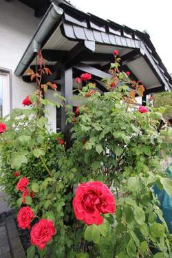 Bild 17 - 