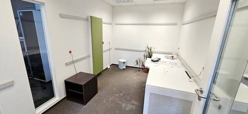 PHOTO-2024-11-26-14-01-21 2.jpg - 