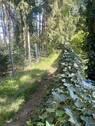Fußweg hinter dem Grdst - 