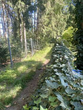 Fußweg hinter dem Grdst - 