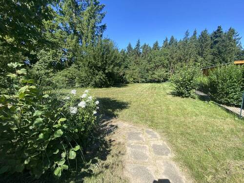 Rasenfläche hinter dem Haus - 