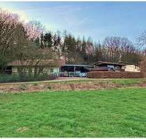 Repräsentatives Gestüt mit Wohnhaus im Nordsaarland - Wadern Gehweiler