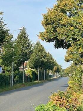 Straßenansicht - Mehrfamilienhaus, Wohnhaus in Leipzig / Holzhausen zum Kaufen