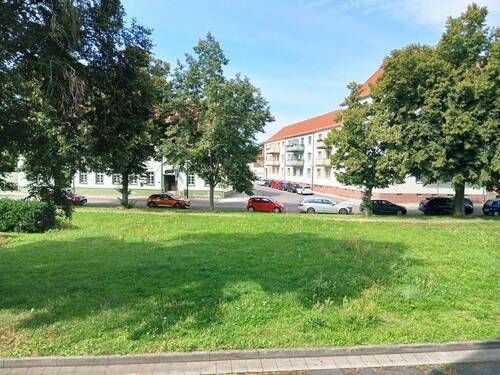 1000066555 (2).jpg - 