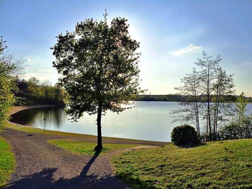 Ihr Rückzugsort am Mainparksee - 