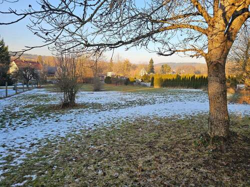 großes Gartengrundstück - 5 Zimmer Mehrfamilienhaus, Wohnhaus in Weitramsdorf