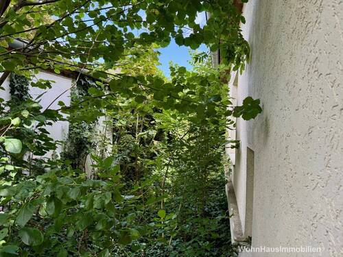 Grundstücksstreifen hinter dem Haus - 