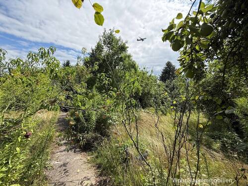 Flugzeuge gehören dazu - 