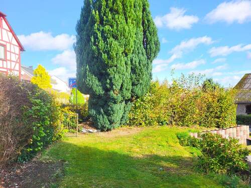 Garten vor dem Haus - 