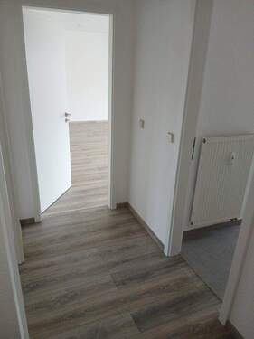 20251203_115008.jpg - 