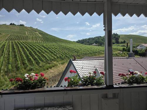 Bild 1 - Provisionsfrei! Panoramablick direkt an den Weinbergen Untertürkheims