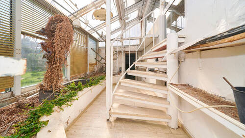 Parterre_Wintergarten_03 - 