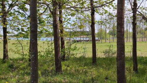 Park - 