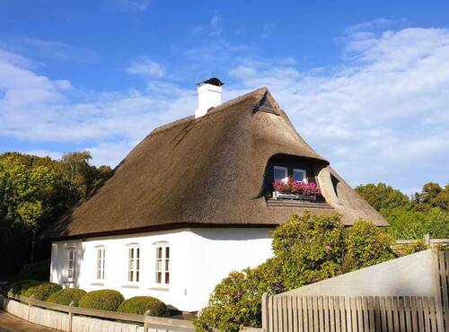 Ansicht, Postkarte.jpg - Schlei-Nähe, gemütliche Reetdachkate