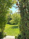 Eingewachsener Garten - 