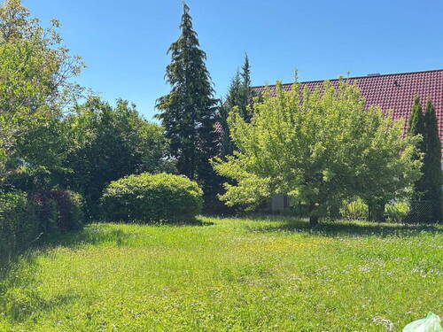 Große Gartenfläche - 