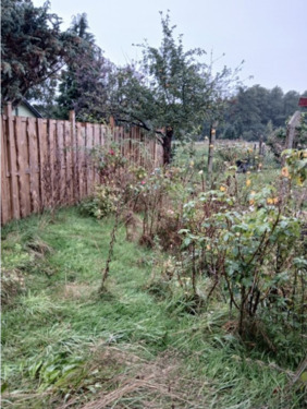 Unbenannt18.PNG - Einfamilienhaus mit 105,00 m&sup2; in Doberschütz zum Kaufen