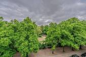 Ausblick aus dem Wintergarten - 