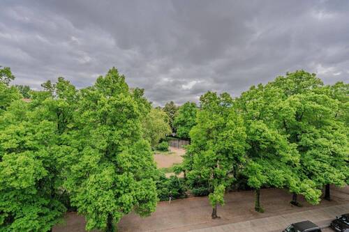Ausblick aus dem Wintergarten - 