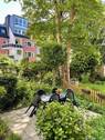 Gemeinschaftsgarten - 