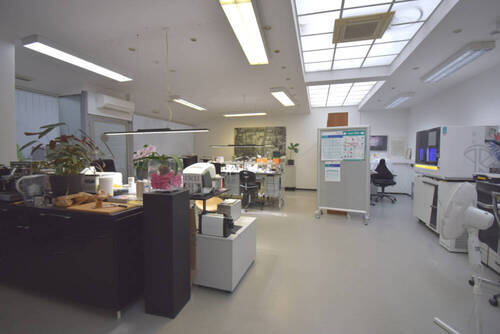 Bild 3 - Büro in Mannheim / Innenstadt