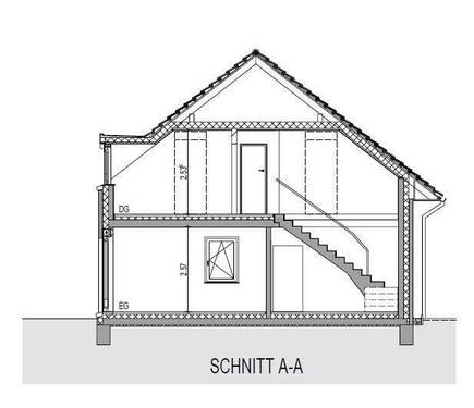 Schnitt - 