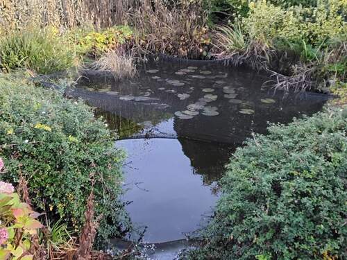 20251106_100507.jpg - 