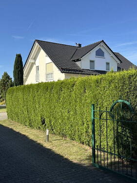 Bild 3 - 7 Zimmer Einfamilienhaus in Chemnitz