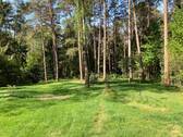 Blick in den Garten - 