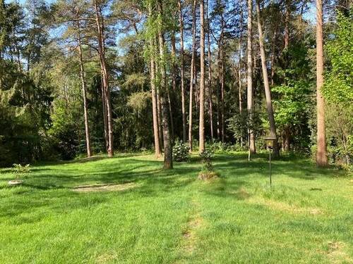 Blick in den Garten - 