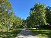 Umgebung - 