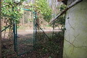 Ausgang Volksdorfer Wald - 
