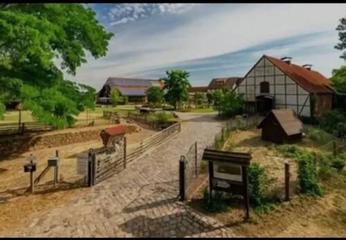 Hofzufahrt - Einfamilienhaus in Tucheim