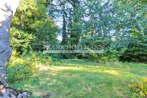 Vordergarten - 