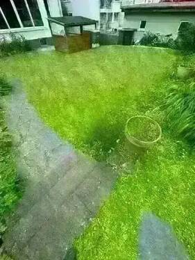 original (20).webp - 