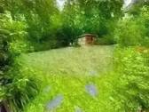 original (17).webp - 