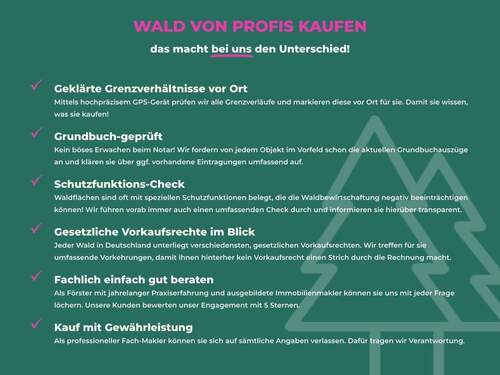 1_Wald von Profis kaufen.jpg - 