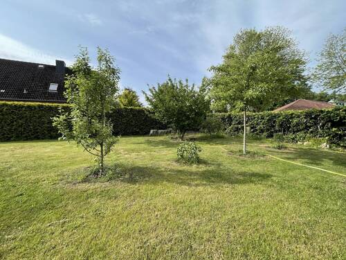 großer Gartenbereich - 