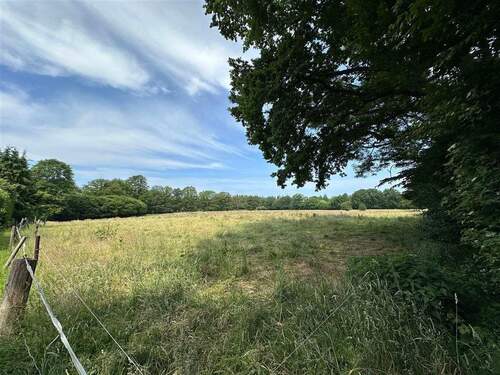 Blick auf das Feld hinter dem Knick - 