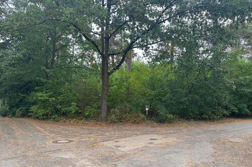 Außenansicht - Grundstück zum Kaufen in Potsdam