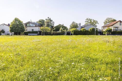 Blick über die Wiese - Grundstück in München zum Kaufen