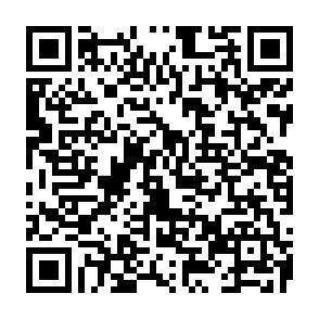 QR-Code - 